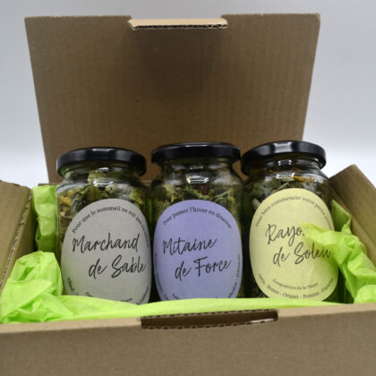 Découverte version 1